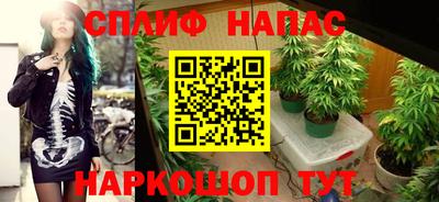 дмт Туймазы