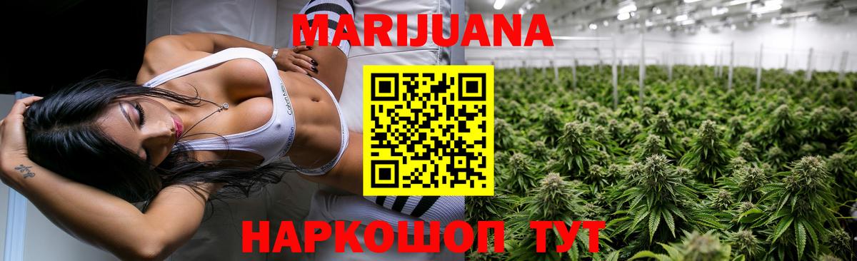 Каннабис сатива Отрадный
